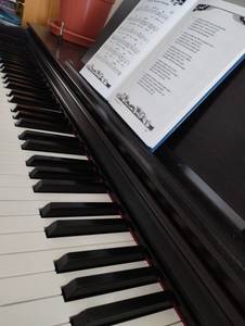 Výuka hudební nauky a hry na klavír